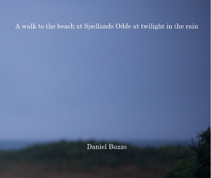 Visualizza A walk to the beach at Sjællands Odde at twilight in the rain di Daniel Buzzo