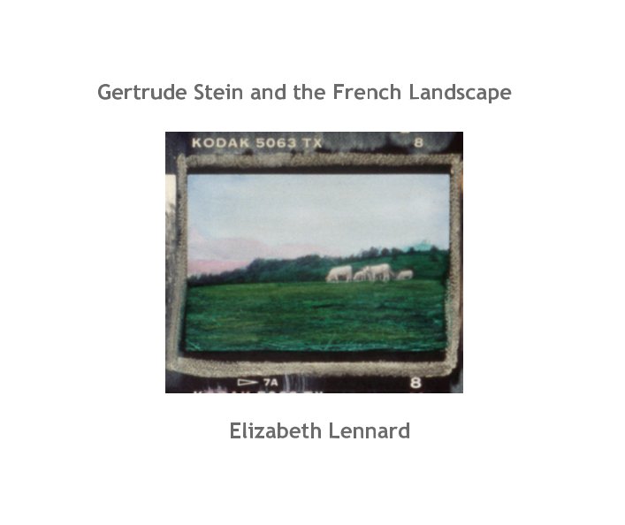 View Gertrude Stein and the French Landscape by ELIZABETH LENNARD