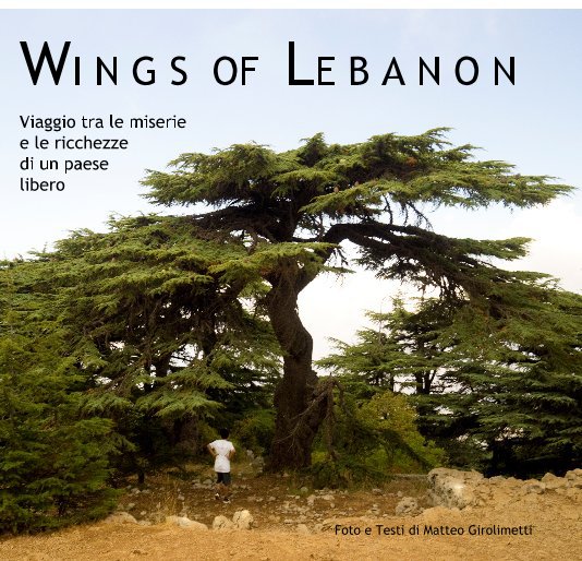 View Wings Of Lebanon by Matteo Girolimetti