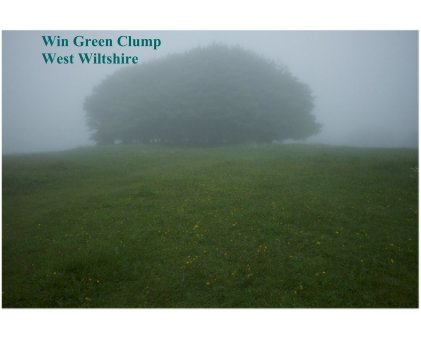 Win Green Clump West Wiltshire book cover