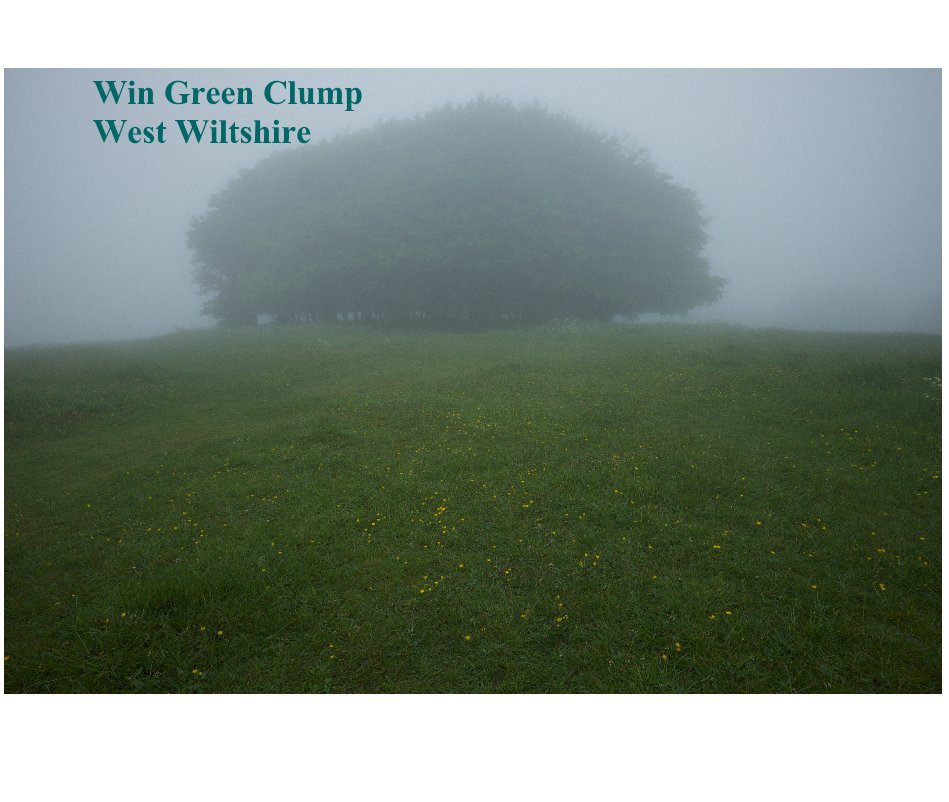 View Win Green Clump West Wiltshire by John H Rhodes