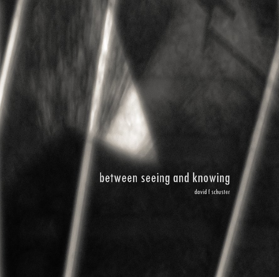 Ver between seeing and knowing por david f schuster