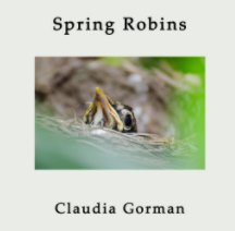 Spring Robins book cover