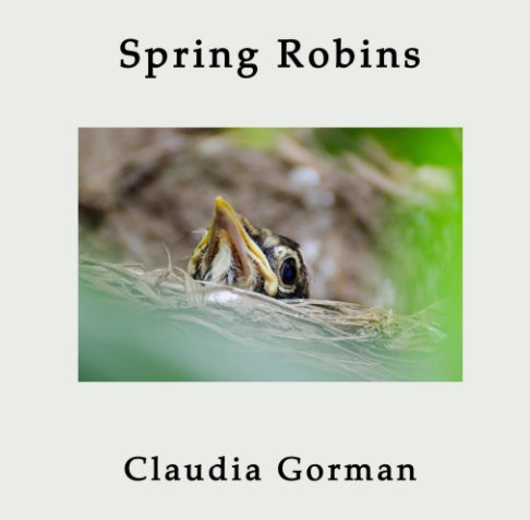 View Spring Robins by Claudia Gorman