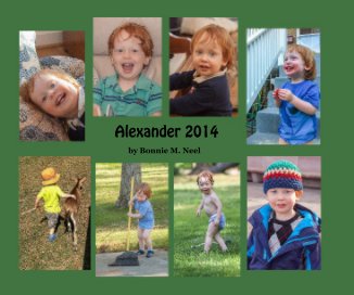Alexander 2014 book cover