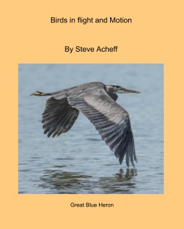 Birds in flight and motion book cover
