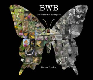 BwB book cover