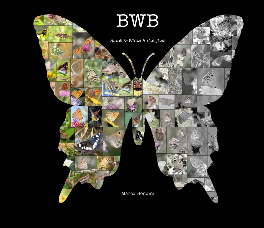 Bekijk BwB - Large Format op Marco Bondini