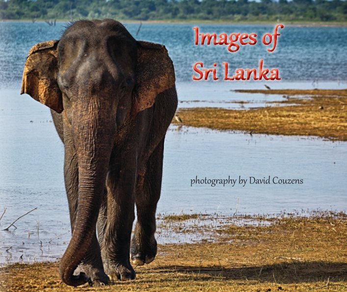 Ver Images of Sri Lanka 2ed por David Couzens