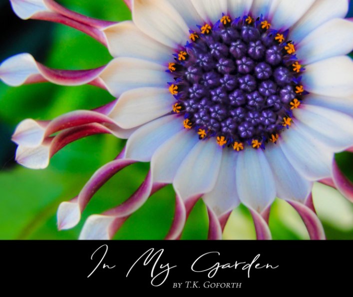 View In My Garden - 10x8 Coffee Table Book with Scriptures by TK Goforth
