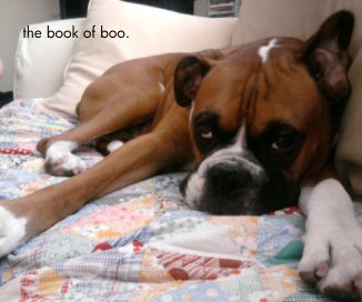 the book of boo. book cover