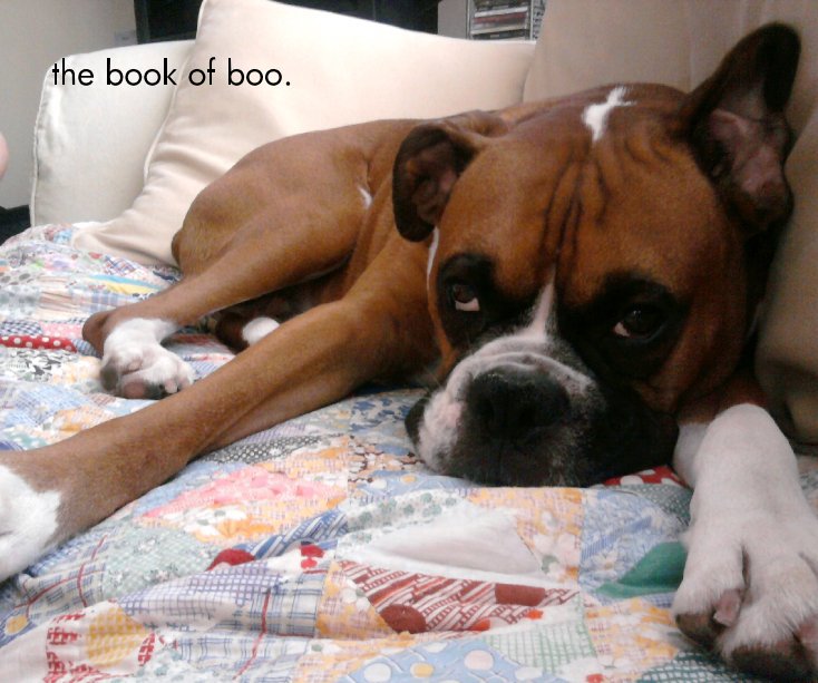 View the book of boo. by Tracy and John