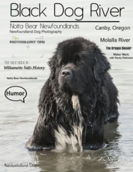 Black Dog River book cover