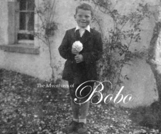 The Adventures of Bobo book cover