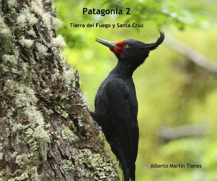 Ver Patagonia 2 por Alberto MartÃ­n Torres