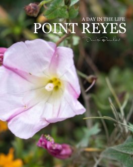 Pt. Reyes book cover