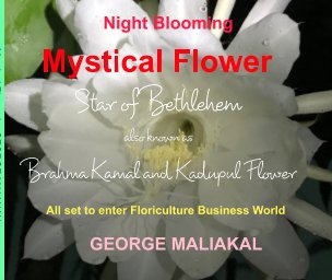 Mystical Flower - Star of Bethelehem book cover