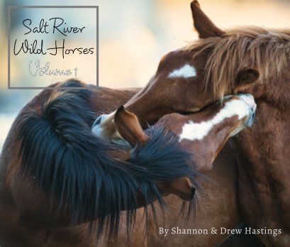 Salt River Wild Horses book cover
