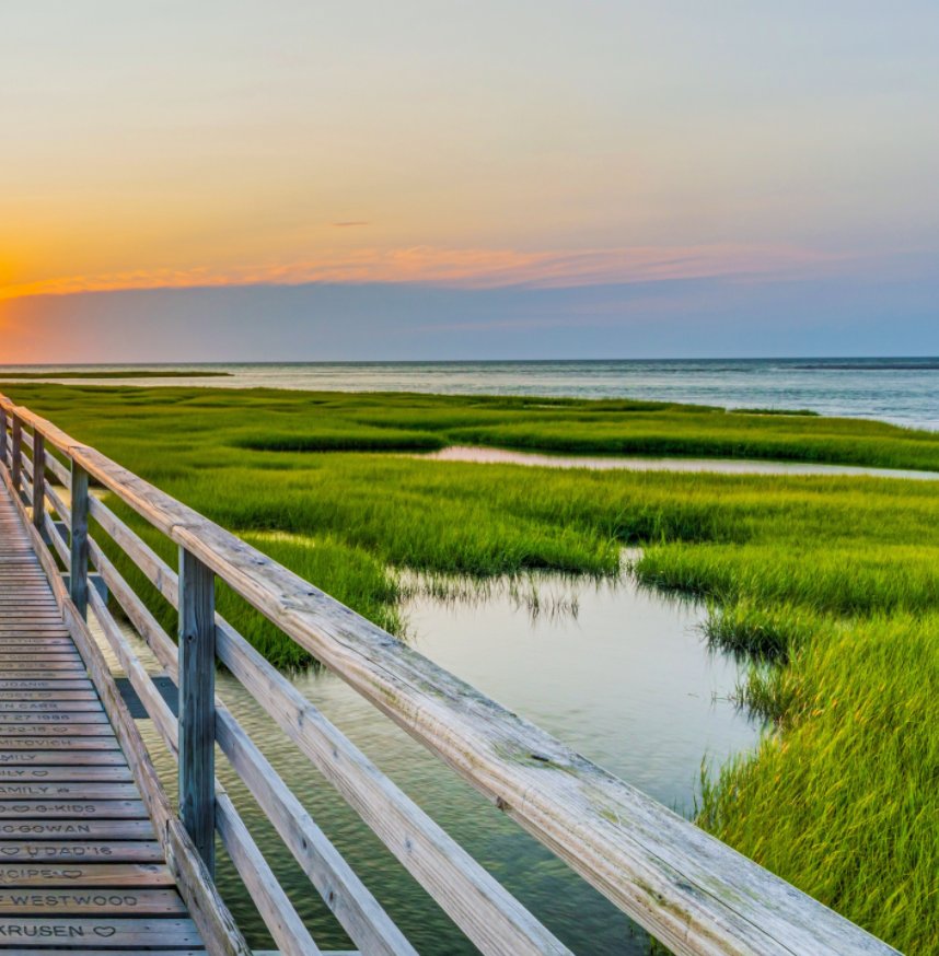 Love and Light: The Spirit of Cape Cod nach Elyssa M Cohen anzeigen