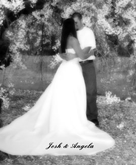 Josh & Angela book cover