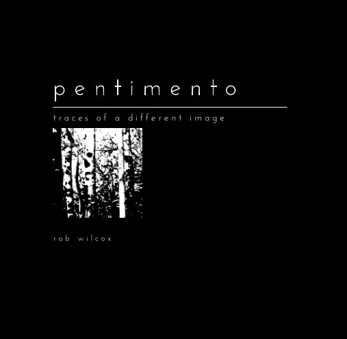 View pentimento by rob wilcox