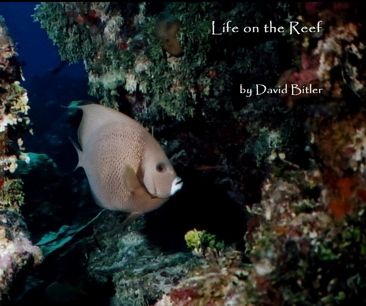 View Life on the Reef by David Bitler