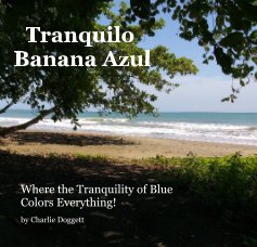 Tranquilo Banana Azul book cover