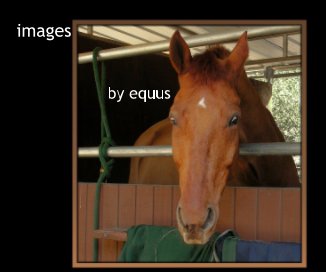 images by equus book cover