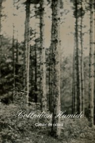 Collodion Humide book cover