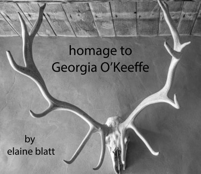 homage to georgia o'keeffe book cover