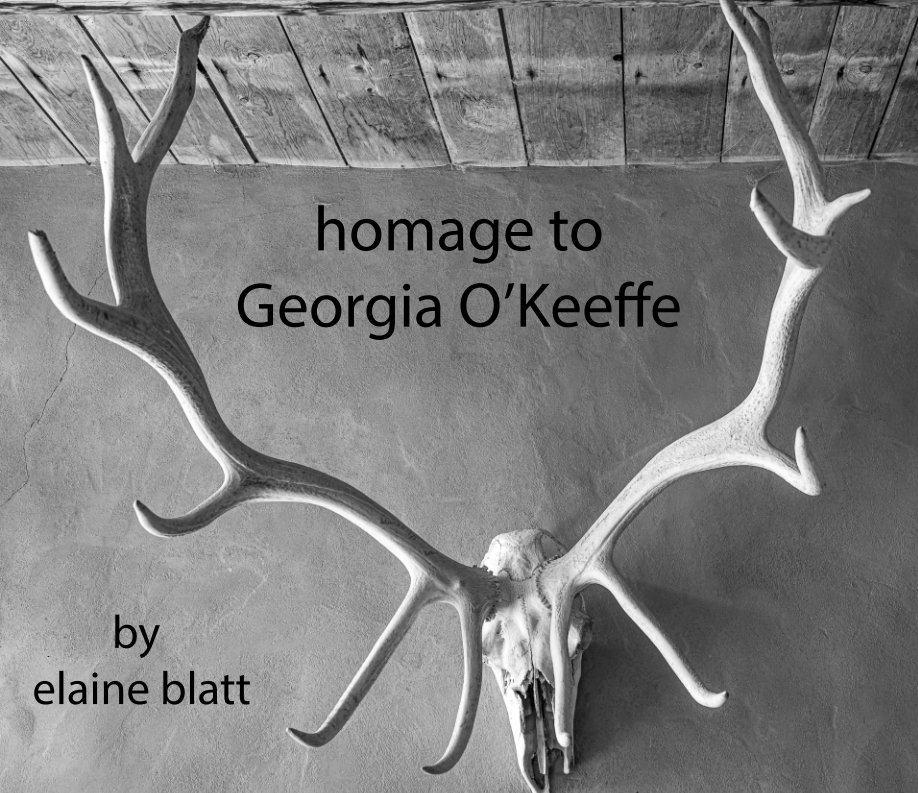 View homage to georgia o'keeffe by elaine blatt