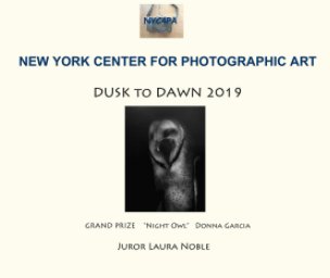 DUSK to DAWN 2019 NYC4PA book cover