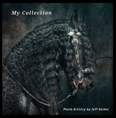 My Photo Artistry Collection book cover