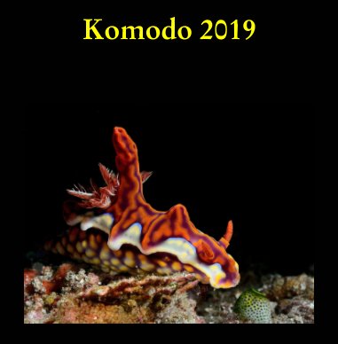 Komodo 2019 book cover