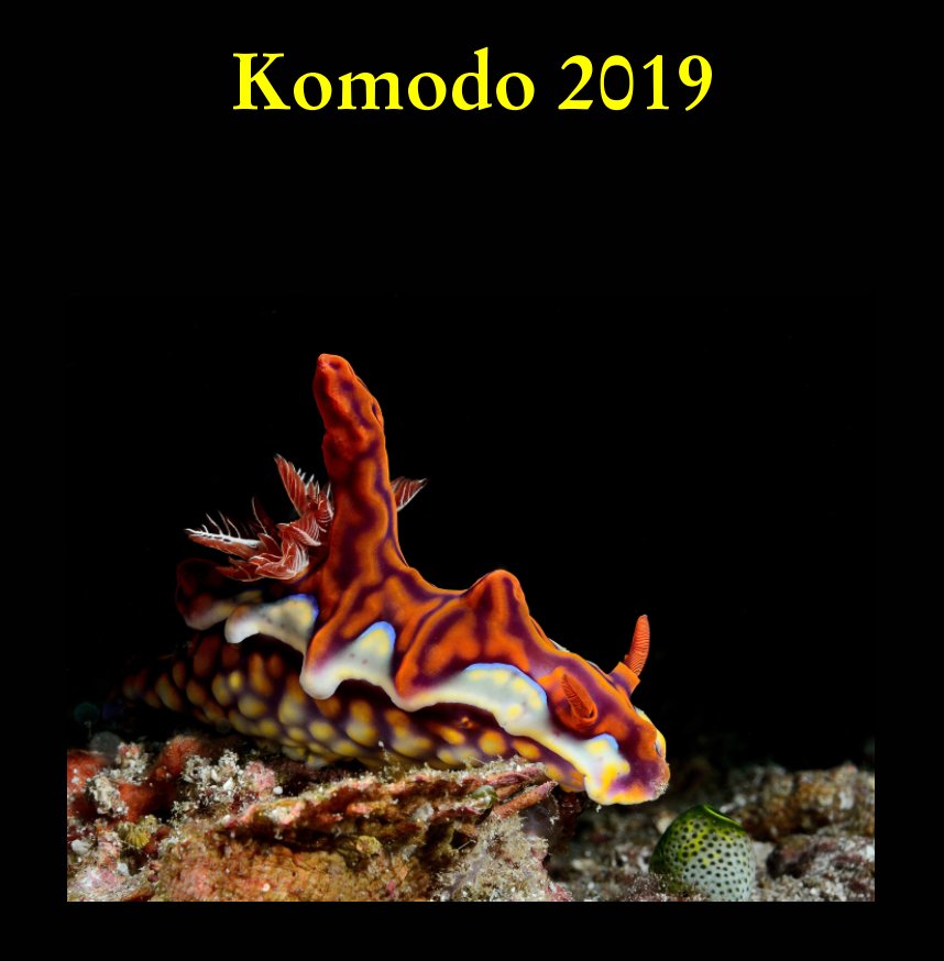 View Komodo 2019 by Dennis Malmström