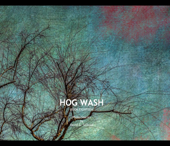 View Hog Wash by David G. Seibold