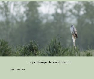 Le printemps du saint martin book cover