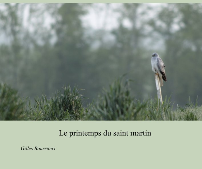 Bekijk Le printemps du saint martin op Gilles Bourrioux