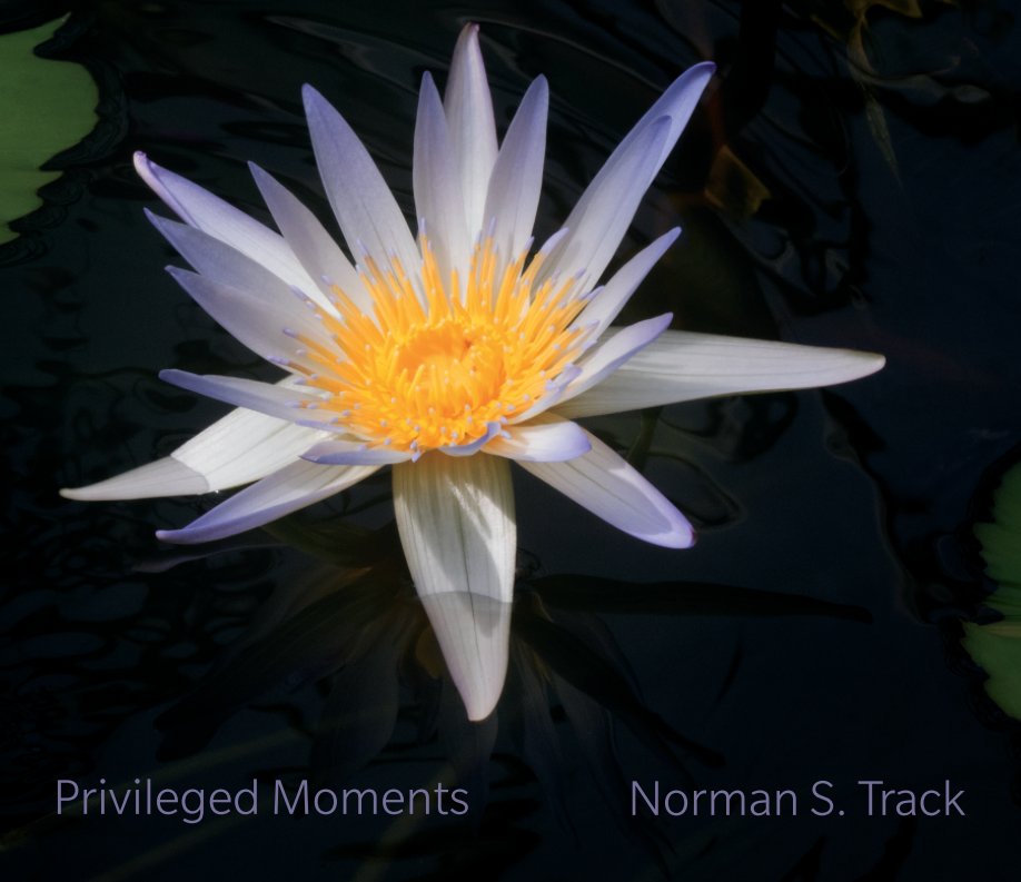 View Privileged Moments by Norman S. Track
