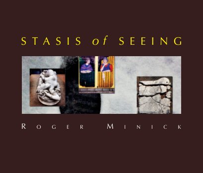 Stasis of Seeing book cover