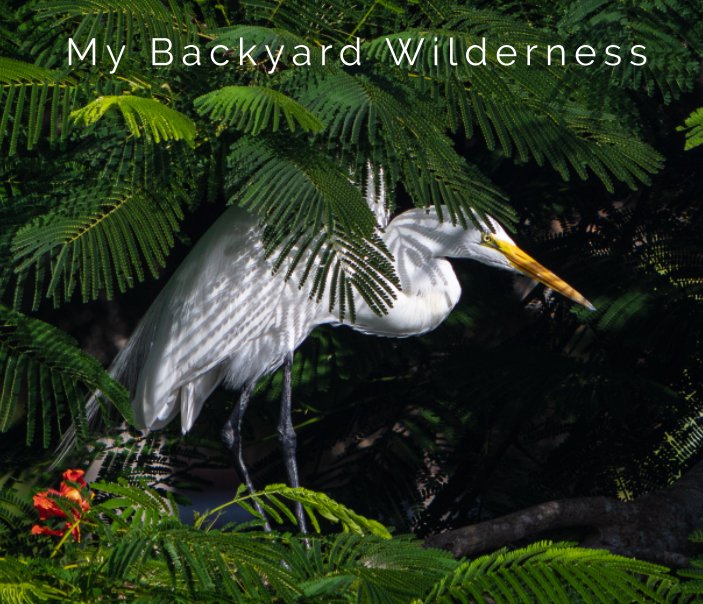 View My Backyard Wilderness by Izzy Pycher