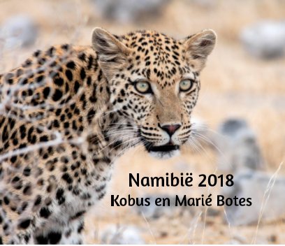 Namibië 2018 book cover