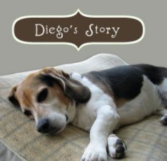 Diego's Story book cover