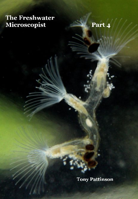 Visualizza The Freshwater Microscopist Part 4 di Tony Pattinson