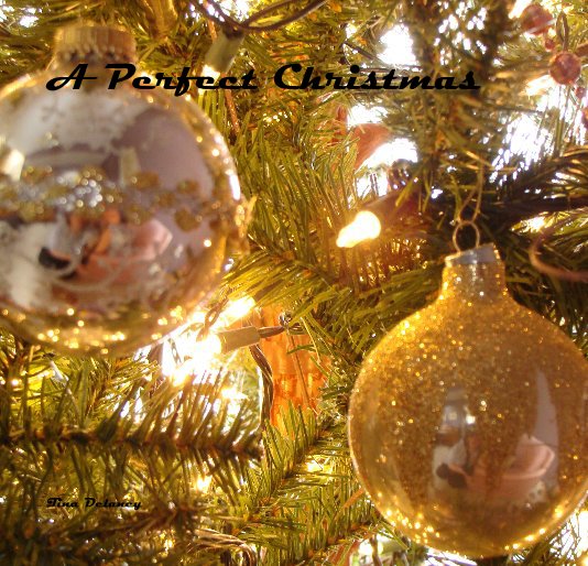 Ver A Perfect Christmas por Tina Delaney