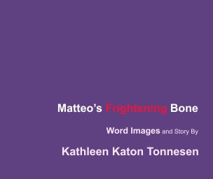 Matteo's Frightening Bone book cover