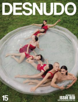 Desnudo Magazine Issue 15 book cover
