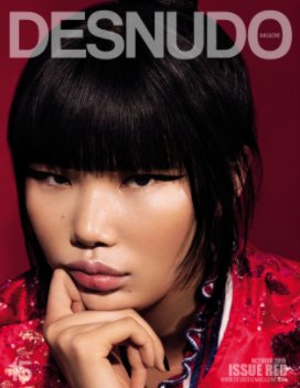 Desnudo Magazine Issue 15 book cover