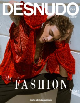 Desnudo Magazine Italia Issue 4 - Jonathan Bellini Cover book cover
