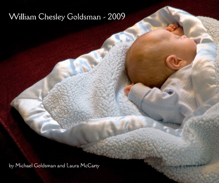View William Chesley Goldsman - 2009 by Michael Goldsman and Laura McCarty
